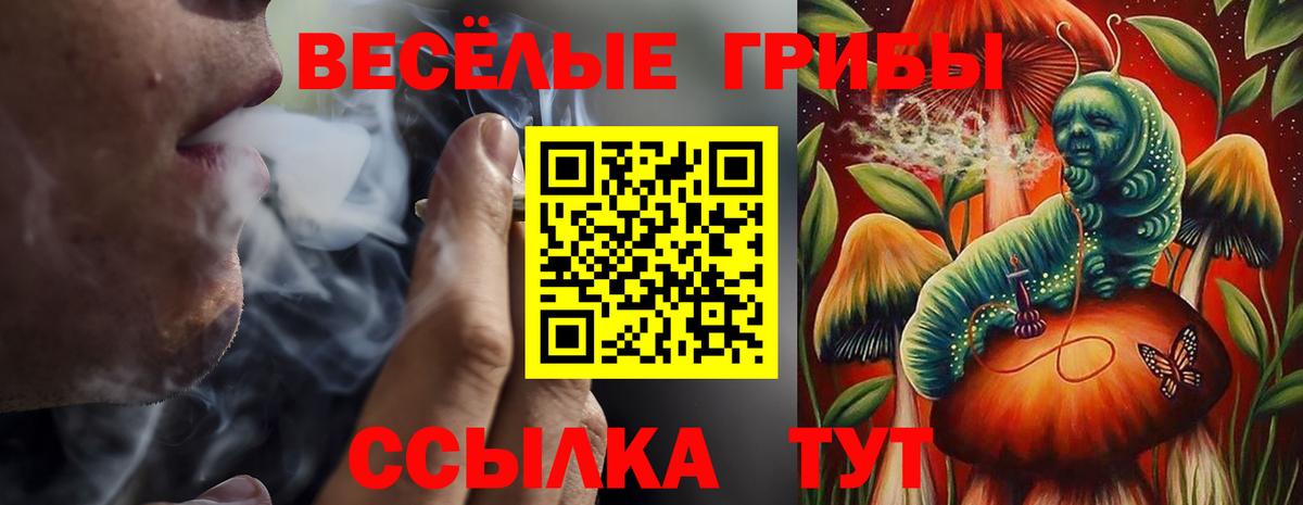 Галлюциногенные грибы Magic Shrooms  Псилоцибиновые грибы мицелий  Вход с VPN  Норильск 