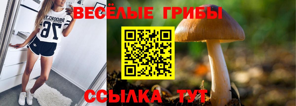 Псилоцибиновые грибы GOLDEN TEACHER Норильск